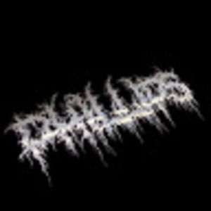 Meet your Posher, Jeff